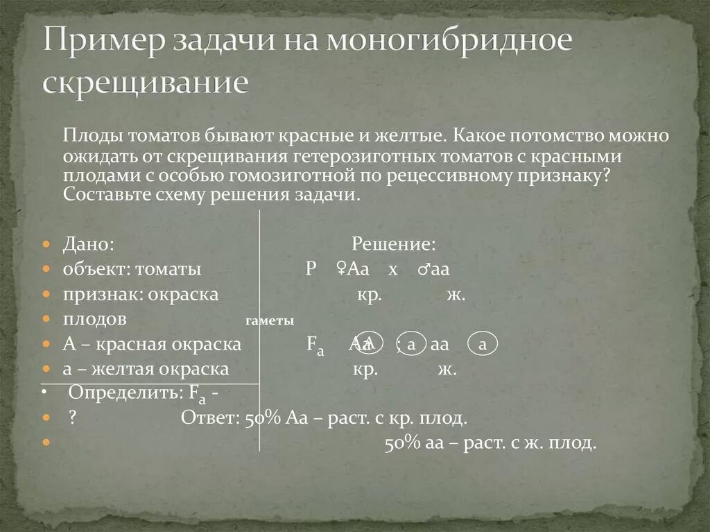 Каковы генотипы гомозиготных родительских форм при моногибридном. Задачи на моногибридное скрещивание 9. Решение генетических задач на моногибридное скрещивание. Задачи на моногибридное скрещивание f2. Задачи на моногибридное скрещивание 10 класс.