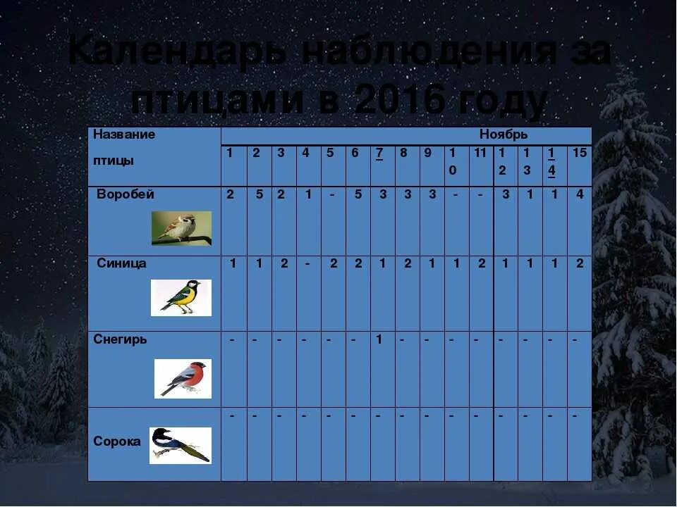 Наблюдения за изменениями погоды. Календарь наблюдений за природой. Дневник наблюдения птиц. Фенологические наблюдения в детском саду. Дневник наблюдения за птицами.