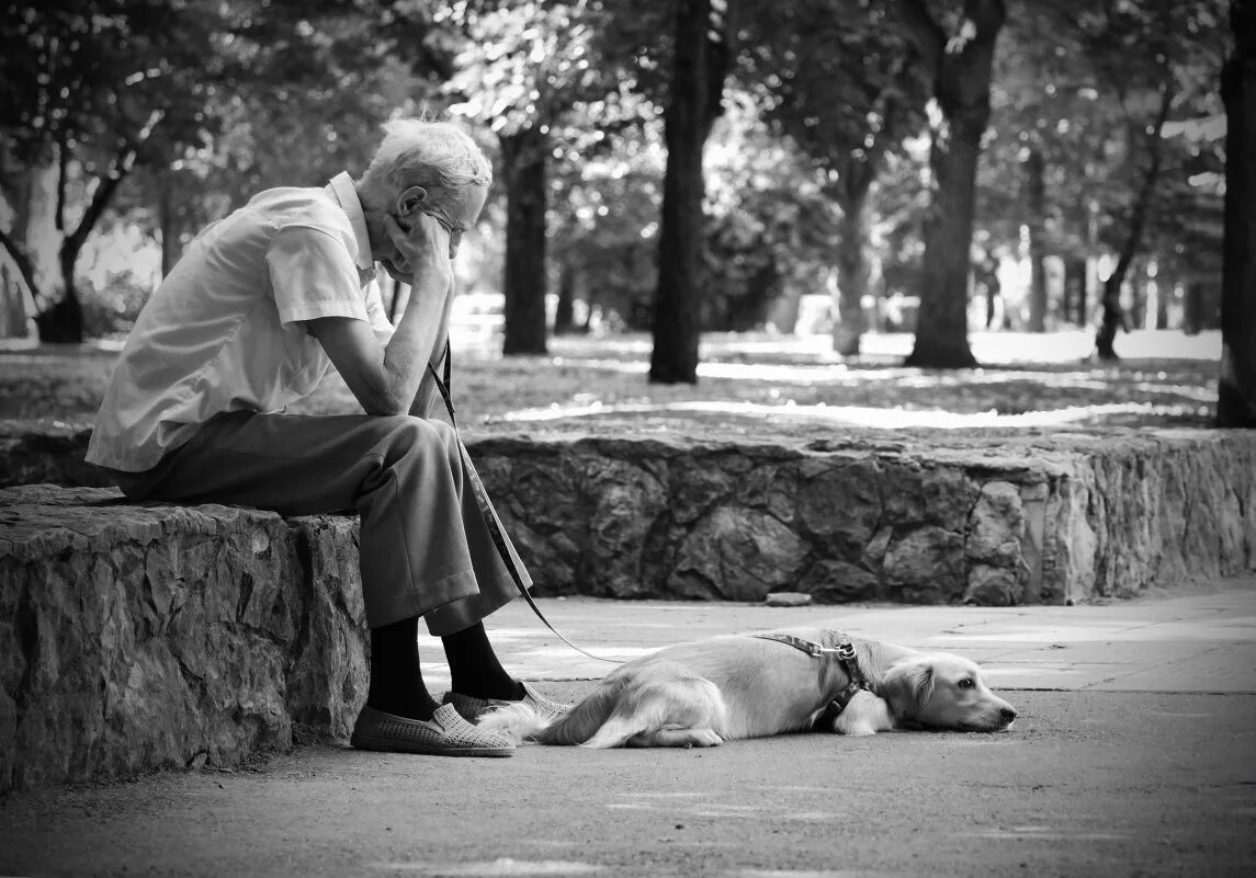 Брюнетка стариком. Старость в одиночестве. Старик и собака. Мужчина и собака одиночество. Человек собака одиночество.