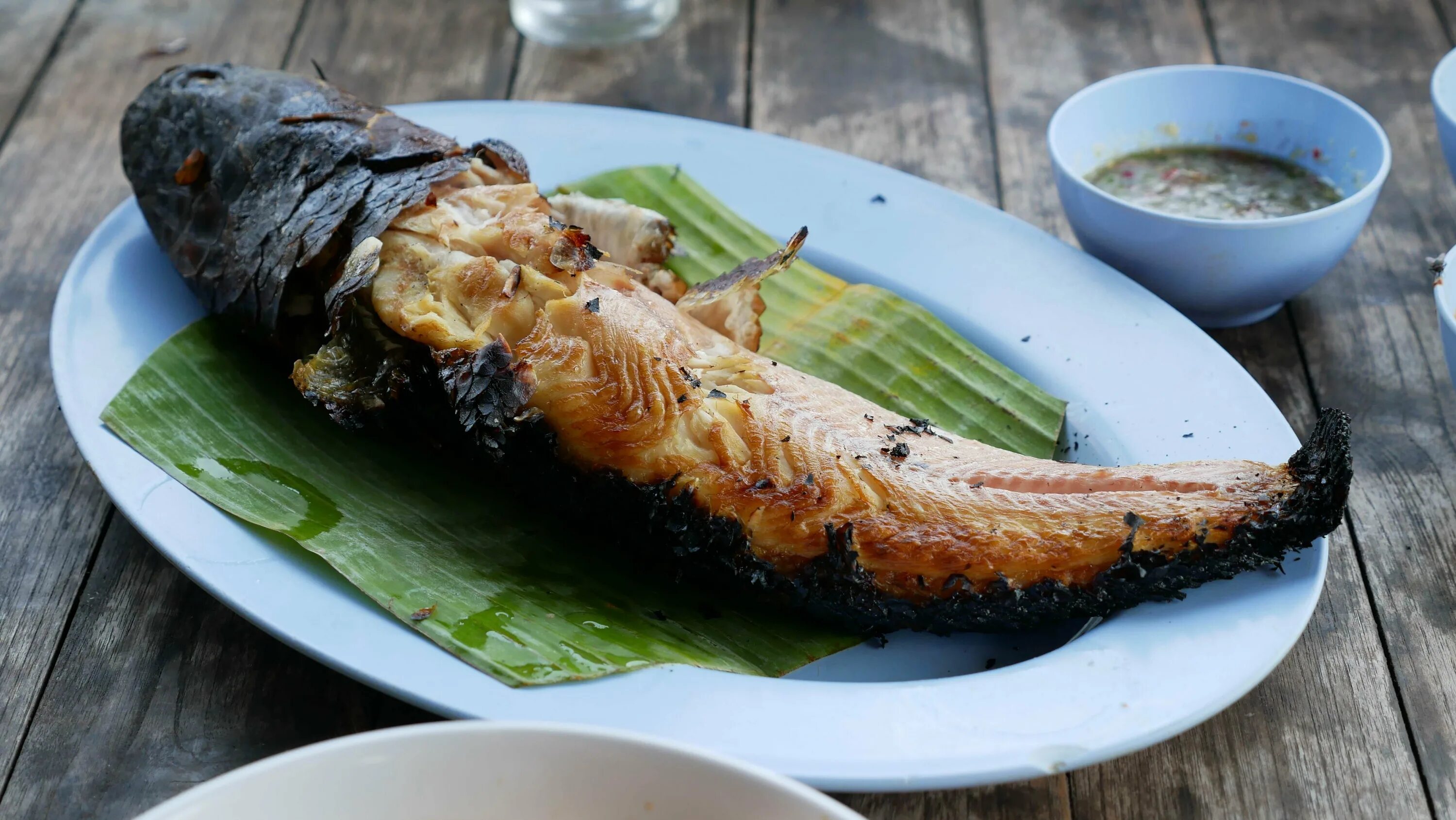 Блюда из сома рецепты. Сом запеченный. жареный сом. сом на гриле. сом блюда.