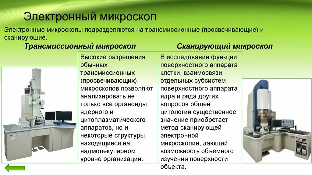 Трансмиссионная и сканирующая микроскопия. Растровый электронный микроскоп. Сканирующая электронная микроскопия. Просвечивающий электронный микроскоп.