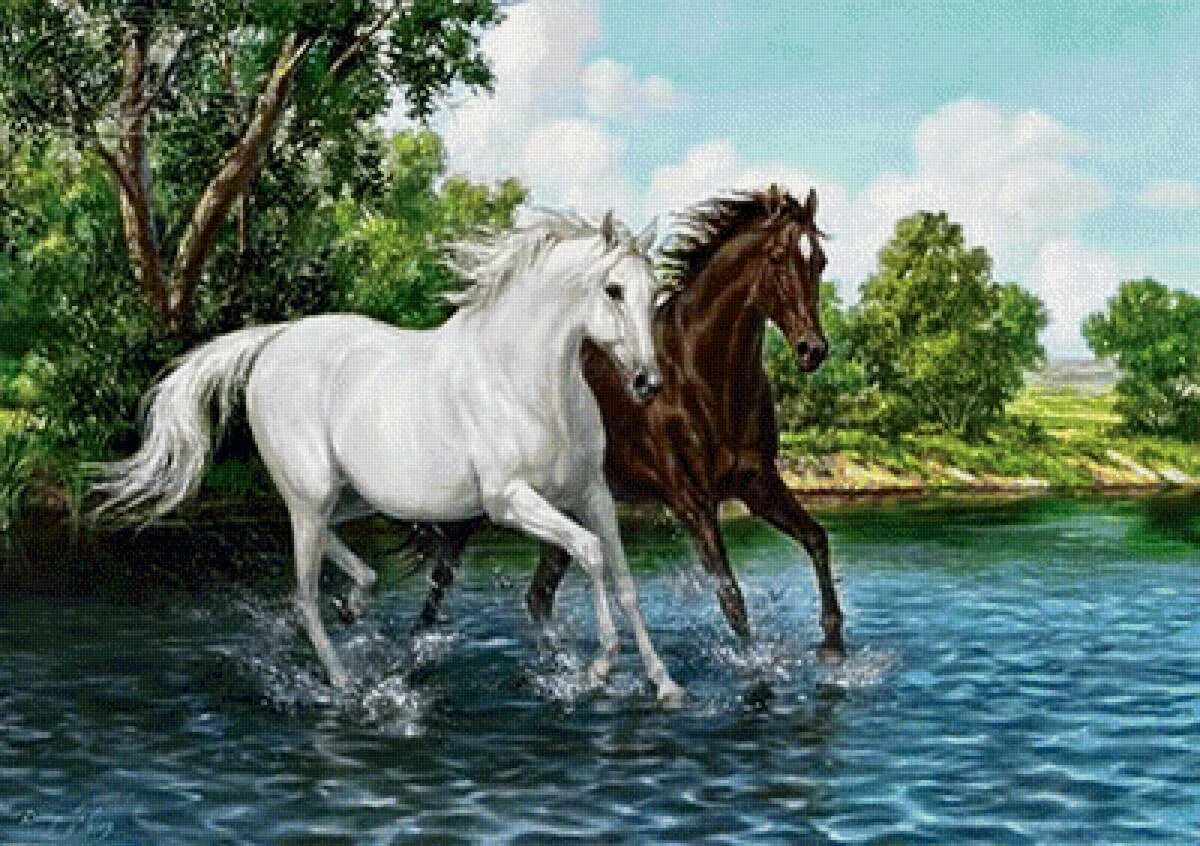 Скачут скачут две лошадки. Данчурова художник кони. Картина лошади. Лошадь бежит по воде. Пара лошадей.