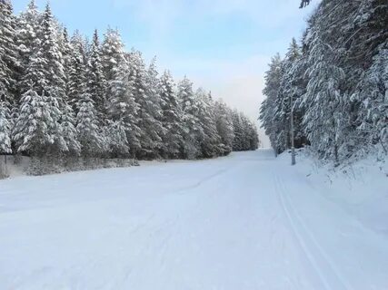 Березники лыжные