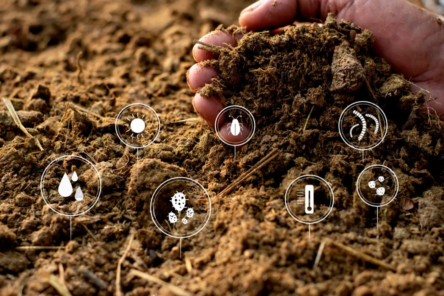 Фтор в почве. Почва. Самоочищение почвы. Почва картинки. Биологическая активность почвы.