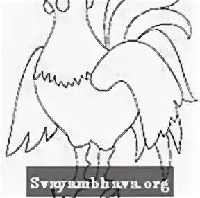 Как разукрасить петуха