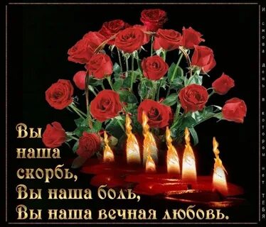 Вечная больно не будет читать