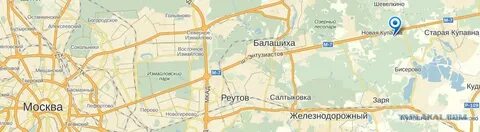 Курская купавна
