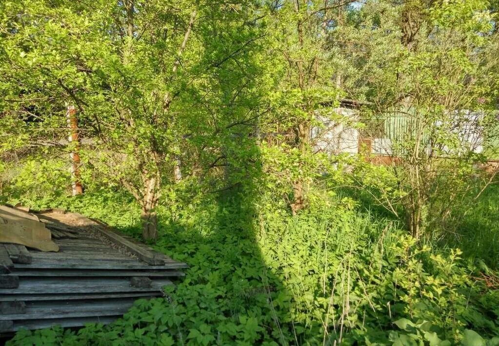 Снт 7 дубки климовск. Снт 7 дубки климовск. Участки снт дубок. Снт дубки. Снт дубки геральдика.