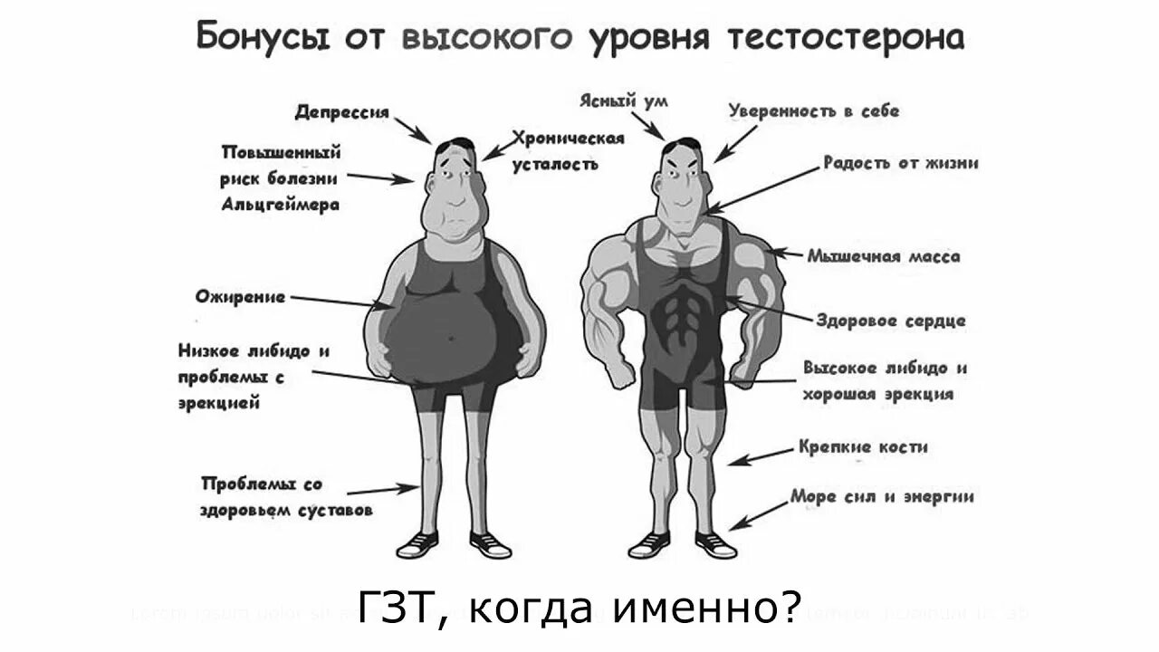 Высокий тестостерон у мужчин. Люди с высоким тестостероном. Человек с високим тестостерон. ГЗТ тестостерон.