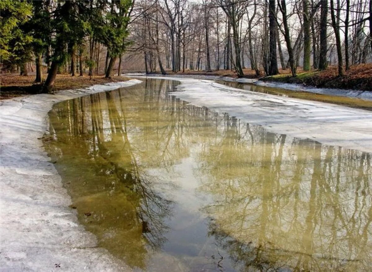 Как быстро растает снег. Весенний город. Весенние ручьи в городе.