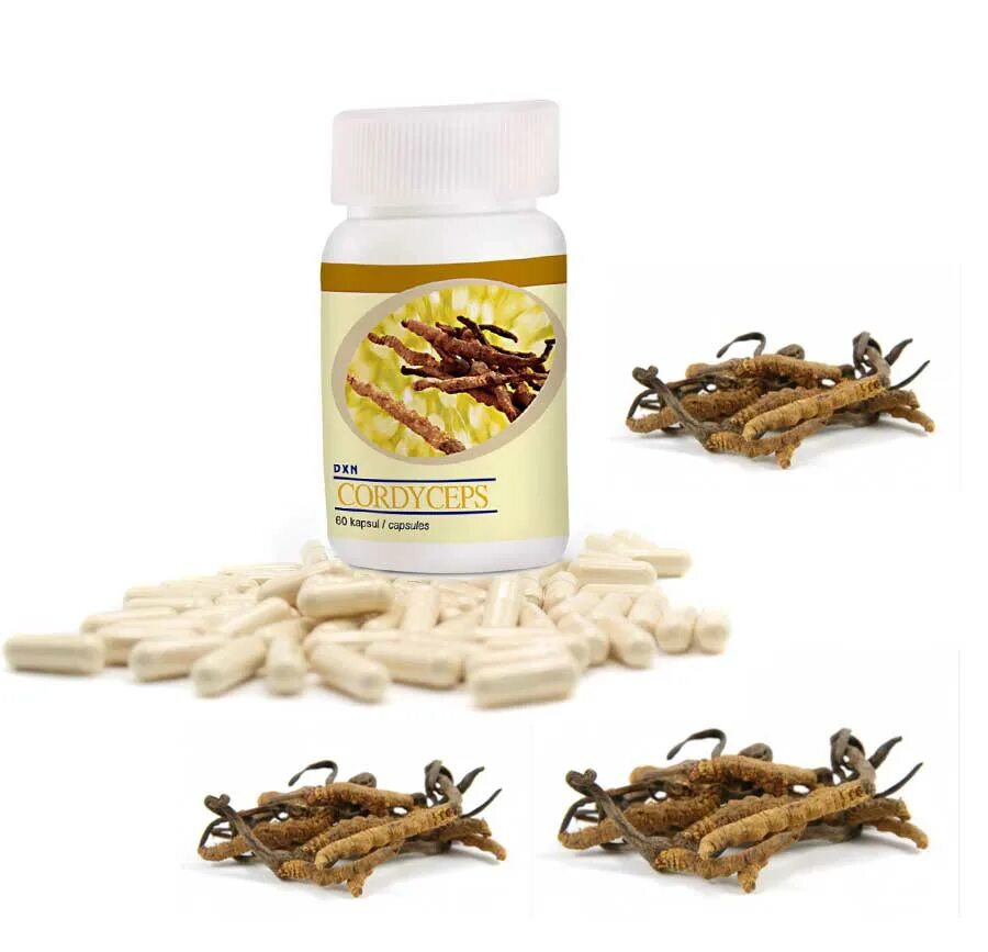 Чай рейши и кордицепсом для чего. Кордицепс Синенсис. Herbal one Cordyceps Plus 30 шт. Капсулы кордицепс 90 капсул Китай. Порошок кордицепс Китай.