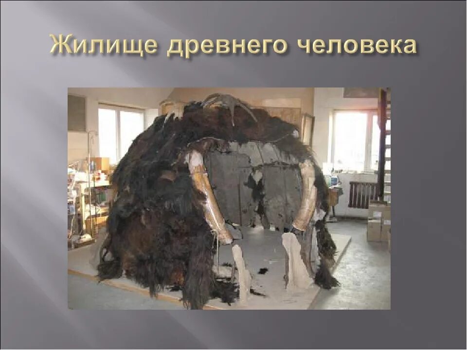 Первые жилища человека. Жилища первобытных людей. Жилище верхнего палеолита. Макет жилища. Первые жилища древних людей.