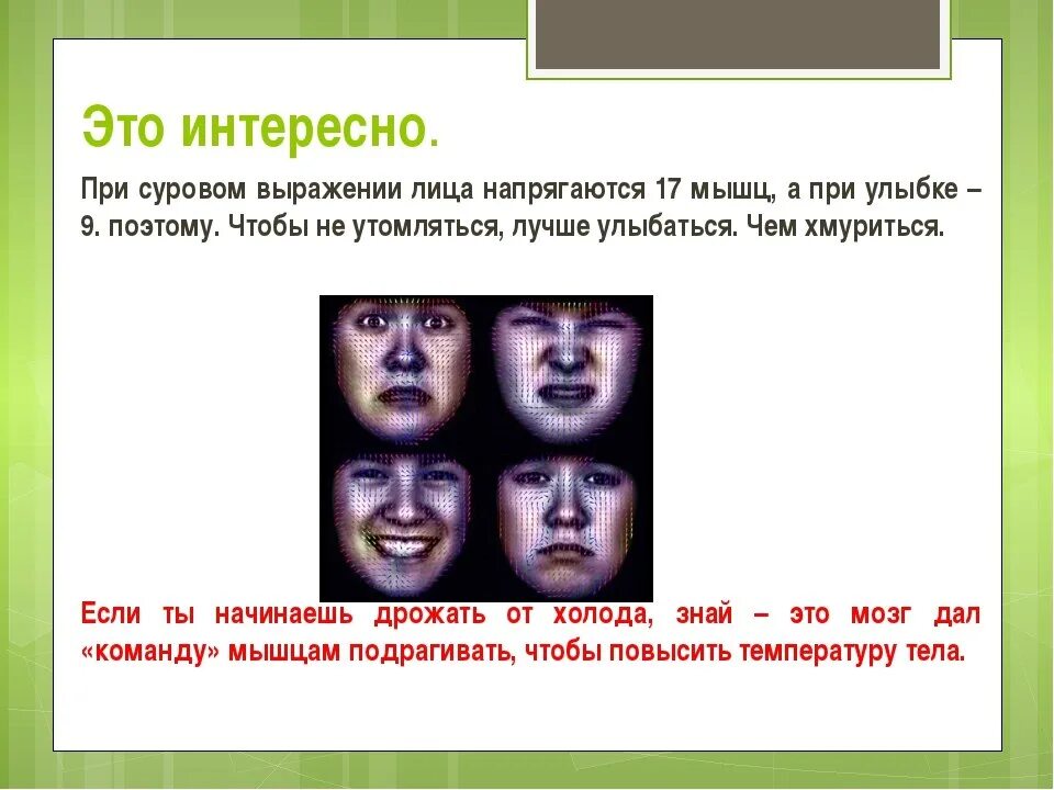 Сколько мышц чтобы улыбнуться. Мышца улыбается. мышцы улыбки. сколько мышц задействовано при улыбке и хмурости. сколько мышц отвечают за улыбку.