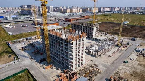 Жилой корень