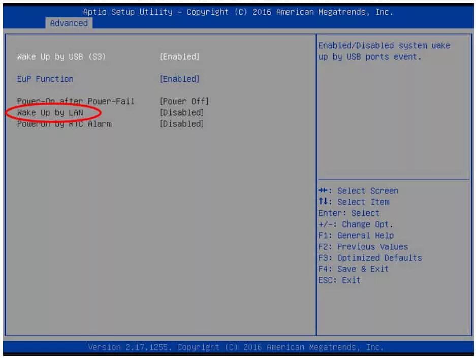 Wake on usb while. Wake-on-lan. wake on lan как включить. wake on lan asus bios.