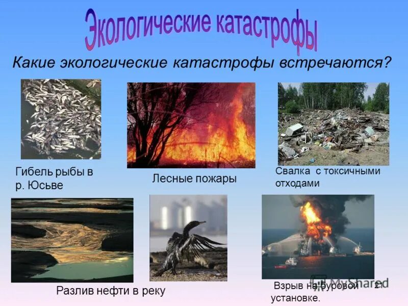 Экологическая катастрофа сообщение 3 класс окружающий мир