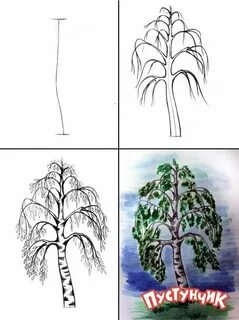 Рисуем березу поэтапно