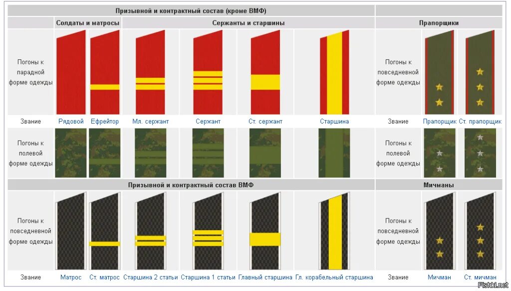 Знание погонов. Воинские звания сухопутных войск вс РФ. Воинские звания военнослужащих Вооруженных сил РФ. Военные чины по возрастанию в России. Воинские звания и погоны Российской армии.