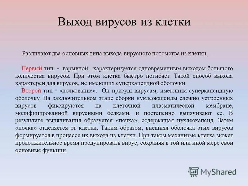 ретровирусы синтез белка. как вирус выходит из клетки. выход вирусных частиц из клетки путем взрыва. выход вирусных частиц из клетки путем почкования. выход вируса из клетки путем взрыва.