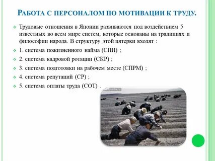 Социальная структура и отношения в японии