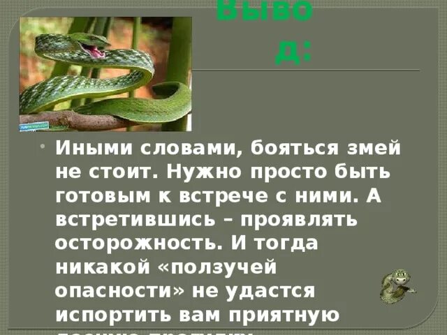 Высказывания о змеях. Слова про змею. Слова про змею. Слова про змею. Легенды о животных 2 класс.