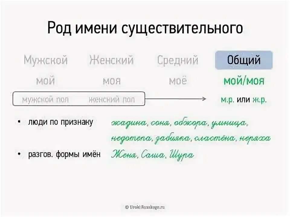 Полы род существительного. Неизменяемые имена существительные. Род имен существительных 6 класс. Тюль род мужской или женский. Род имен существительных таблица.