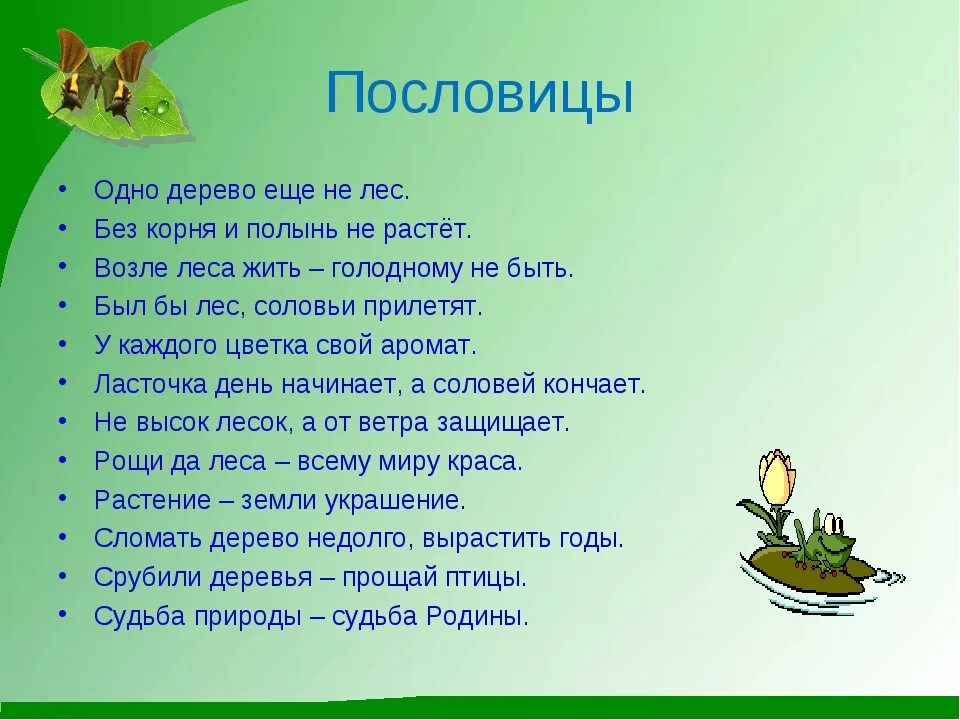 Пословицы о бережном. Пословицы и поговорки о природе. Пословицы о природе. Пословицы на тему природа. Пословитсыпро природу.