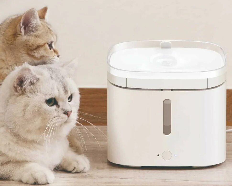 Умная автопоилка для животных Xiaomi Mijia Smart Pet Water Dispenser (xwwf01mg). Xiaomi Smart Pet food Feeder. Xiaomi Smart Pet Fountain. Xiaomi Petoneer Smart Pet Water Dispenser xwwf01mg сменный фильтр. Xiaomi pet fountain