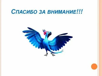Конец птичка