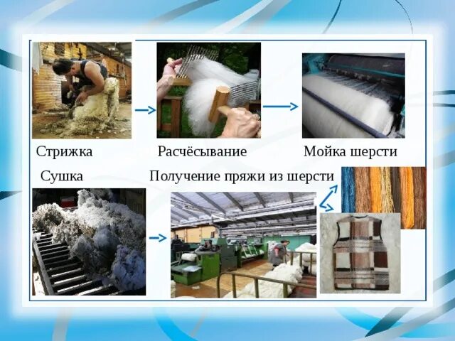 Что делают из шерсти окружающий. Переработка шерсти овец. обработка шерсти.