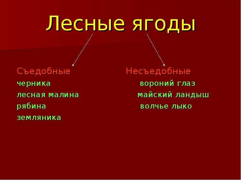 Лесные ягоды съедобные и несъедобные. Несъедобные Лесные плоды. Несъедобные Лесные ягоды. Лесные растения со съедобными плодами и несъедобными.