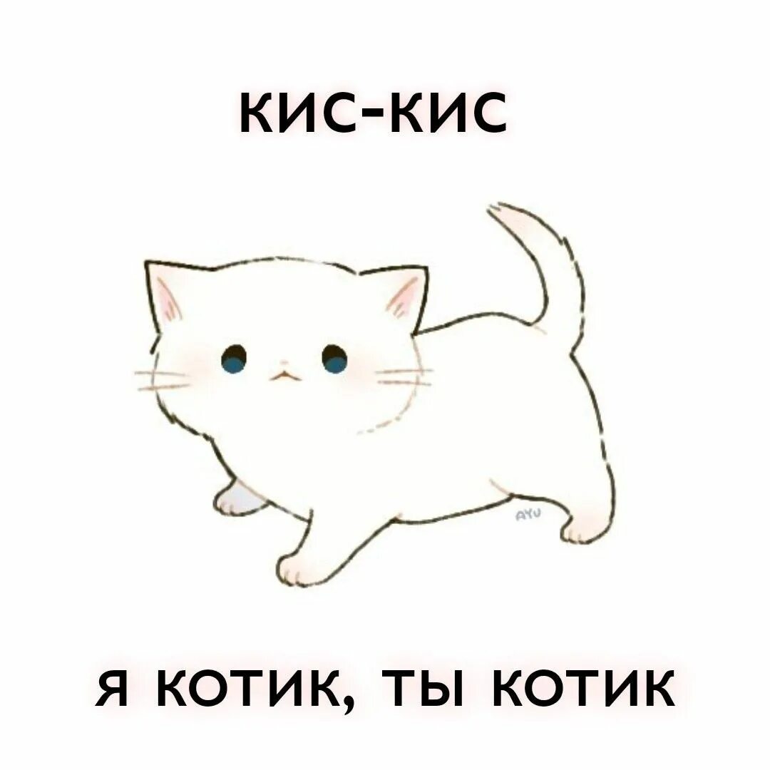 Кисуа. Ты котик. Киса рисунок. Кис кис я котик. Я котик ты котик.