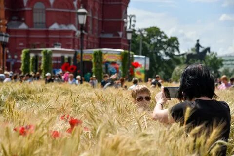 Участки москва лето