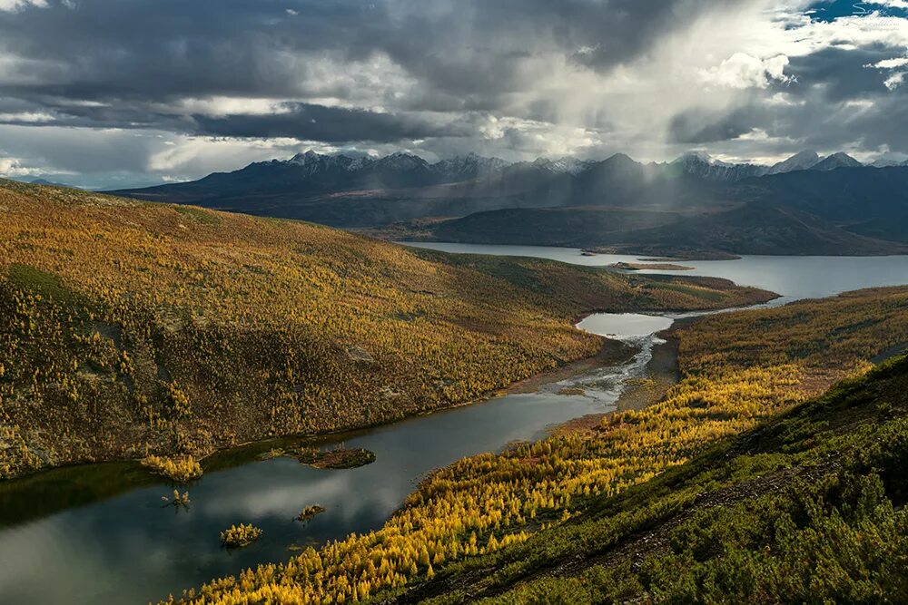 внутренние воды россии карта. речной бассейн реки колыма. бассейн реки колыма на карте. бассейн северного ледовитого. река амур на карте россии исток и устье и притоки реки.