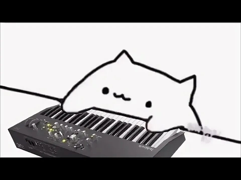 Bongo cat песни. Bongo cat music. Бонго кэт пианино. Кити фас кэт. K pop cat.