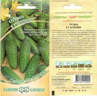 Семена огурцов характеристики