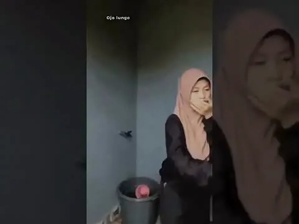 Video di wc. Video di wc