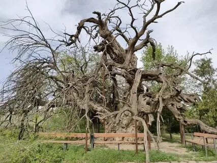 Смотреть порно онлайн: Әкесі қызын қорлап, оны жыныстық қатынасқа көндірді.
