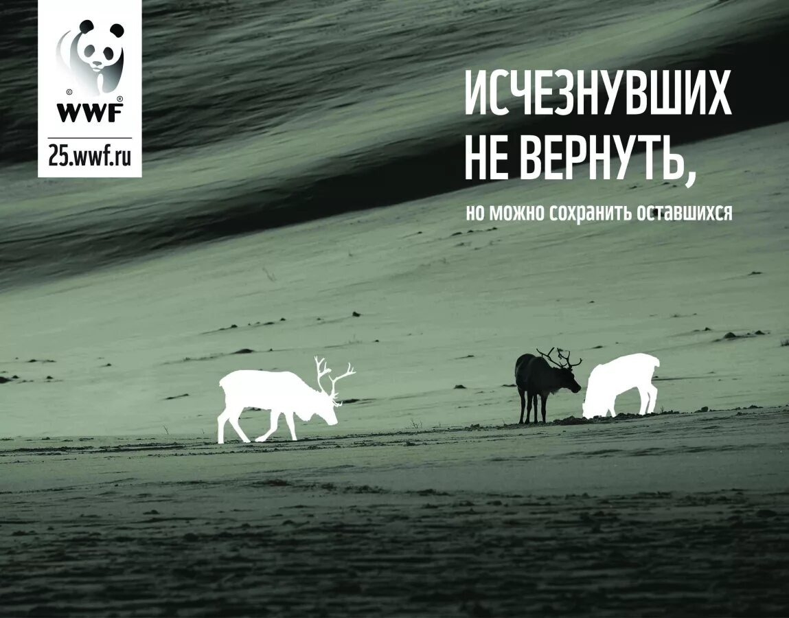 Социальная реклама WWF. Социальные плакаты вымирающие животные. Реклама WWF защита животных. Фонд защиты дикой природы WWF реклама. Слоган животное