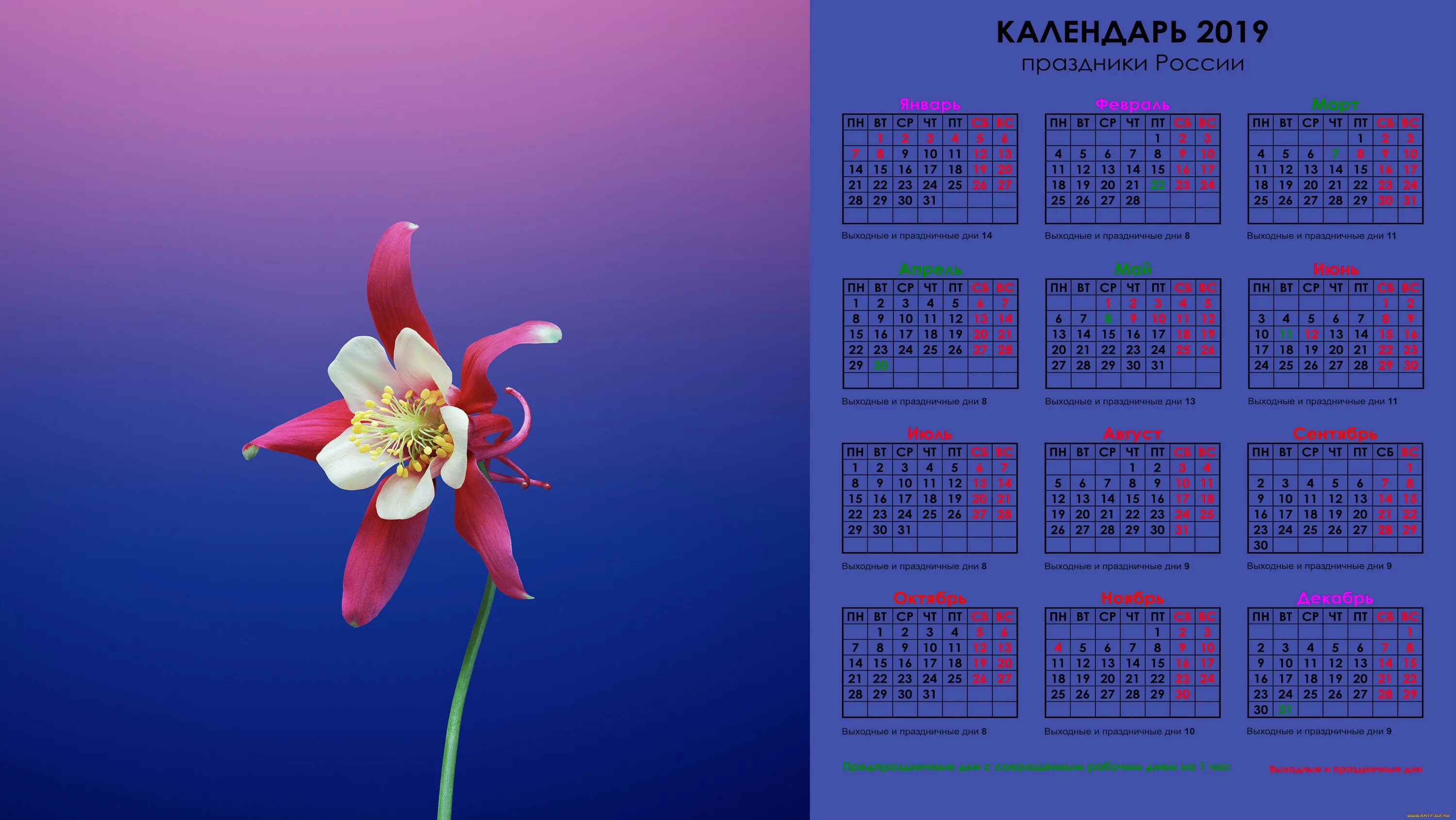 Календарь на заставку рабочего стола 2024. Календарь на рабочий стол. Календарь цветы. Красивый календарь. Обои на рабочий стол календарь.