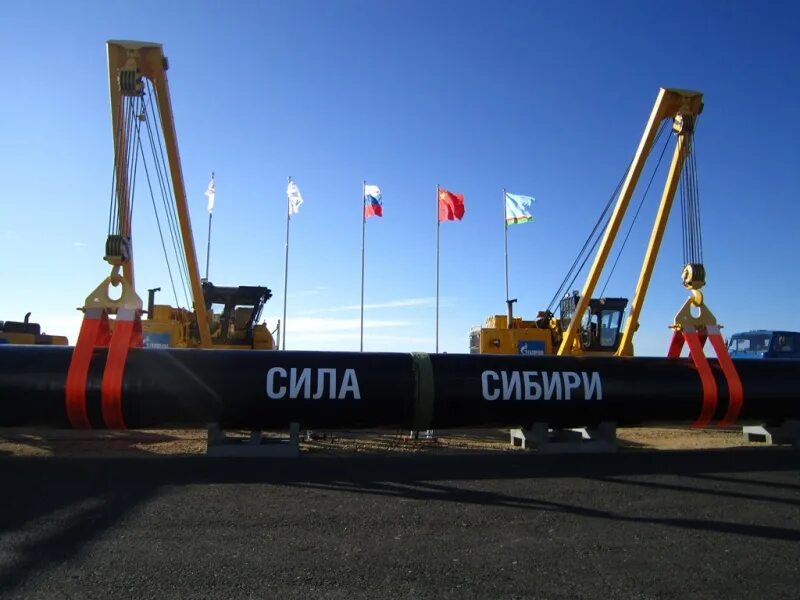 Китай силы сибири. Китай нефть. Китай силы сибири. Сила сибири китай. Китай силы сибири.