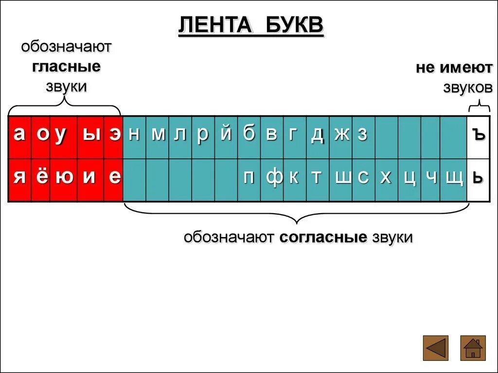 Купит ленту звуков и букв. Лента букв. Лента букв и звуков. Лента букв и звуков для 1 класса. Лента букв для 1 класса.