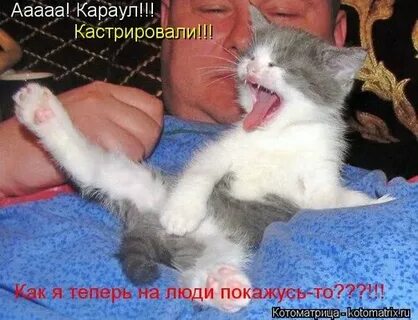 Ну сколько лет