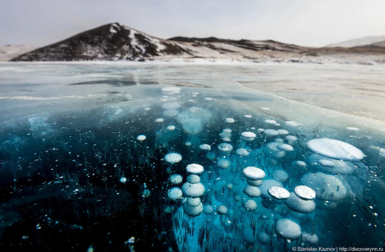 Большое голоустное байкал зимой лед. Метановые пузыри на байкале. Метановые пузыри на байкале. Акула подо льдом. Метановые пузырьки на байкале.