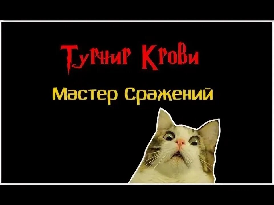 Джет ли шаолинь 2. Мастера сразились. Китайские боевики 2021 боевые искусства. Джет ли боевые искусства. Проверка в колледже.