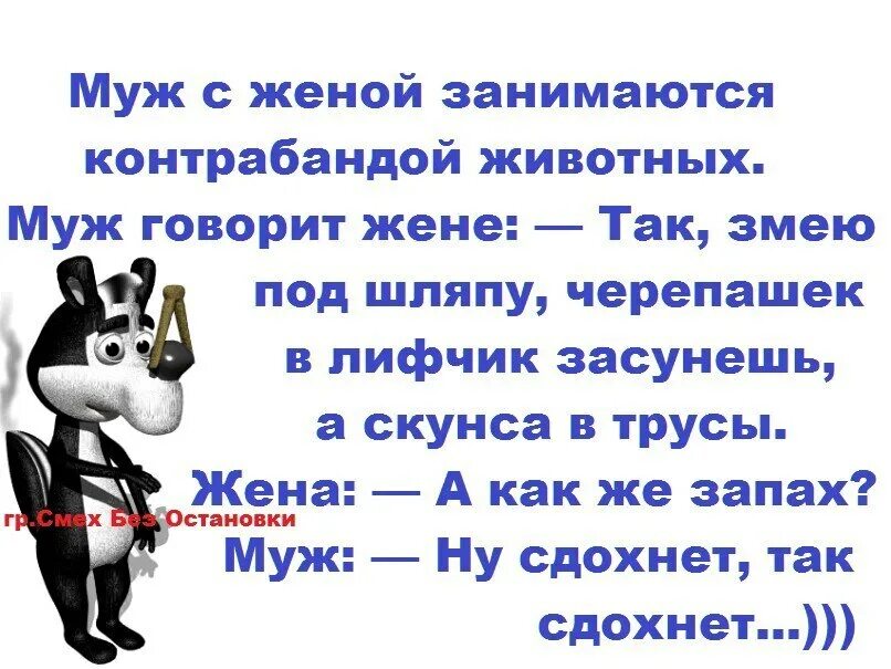 Есть я у мужа у зверя. Анекдот про скунса в трусы. Анекдоты про скунсов. Анекдот про контрабанду животных скунс. Анекдот про мужа на час.