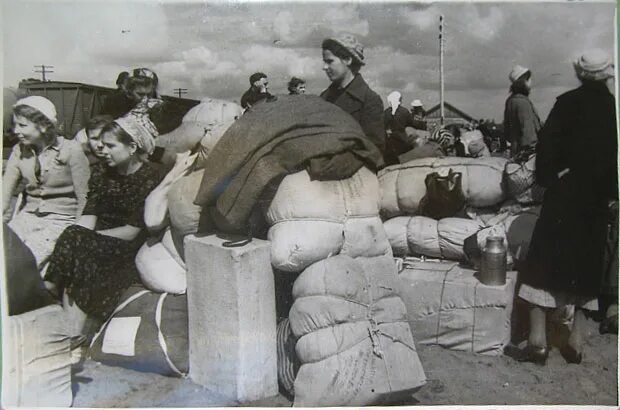 дети эвакуированные из блокадного ленинграда. эвакуация детей из ленинграда 1941. почему не эвакуировали ленинград. дорога жизни ленинград. первый этап эвакуации ленинграда.