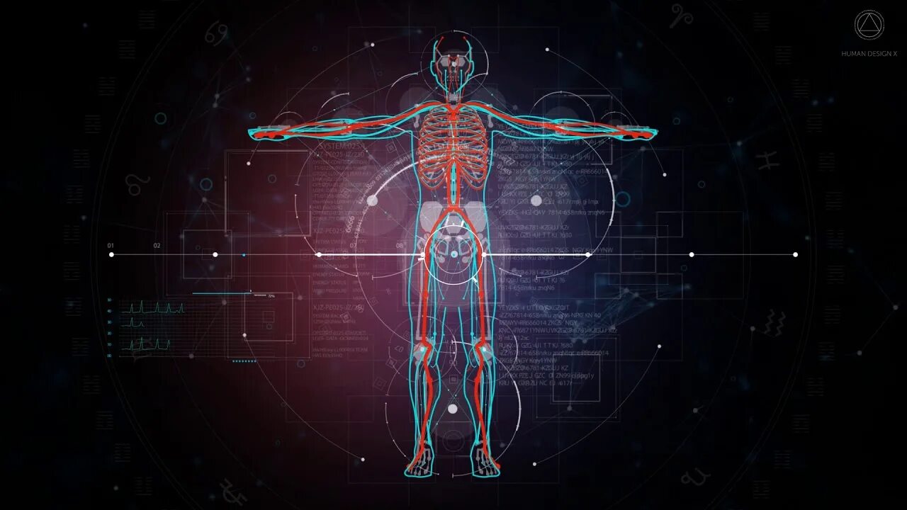 Проектирование людям. Мандала дизайн человека. Преподаватель архитектор сток. Архитектор дизайнер. Сотрудничество с дизайнерами и архитекторами.
