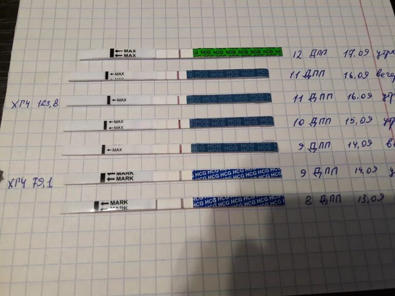Тесты не беременность после эко. Тесты на ХГЧ после переноса эмбрионов. Тесты ХГЧ по дням. Тест ХГЧ после подсадки.