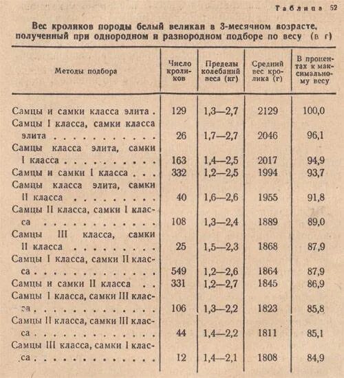 Сколько весит самка. Вес кролика в 4 месяца. Таблица веса кроликов разных пород. Таблица веса и возраста кроликов. Вес кроликов по месяцам разных пород таблица.